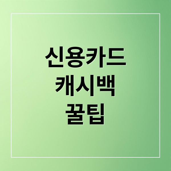 신용카드
캐시백
꿀팁 (신용카드 캐시백)