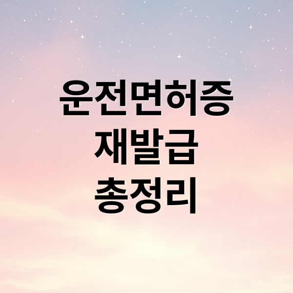 운전면허증
재발급
총정리 (운전면허증 재발급)