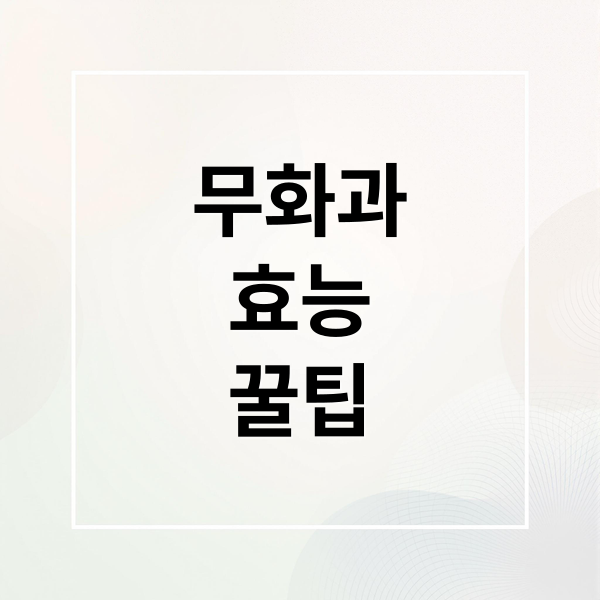 무화과
효능
꿀팁 (무화과 효능 부작용)