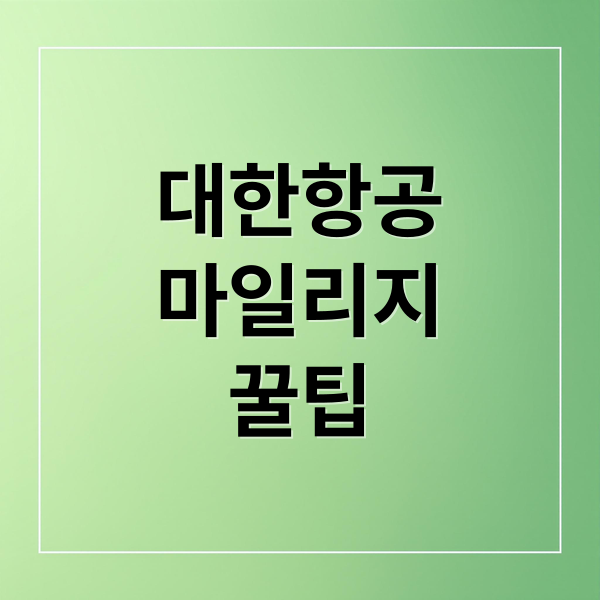 대한항공
마일리지
꿀팁 (대한항공 마일리지 사용방법)