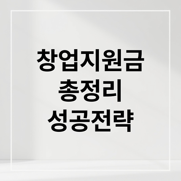 창업지원금
총정리
성공전략 (개인 창업 지원금 100%)