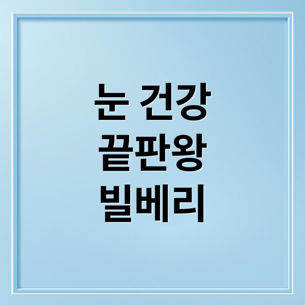 눈 건강
끝판왕
빌베리 (빌베리 아스타잔틴 효능 부작용)