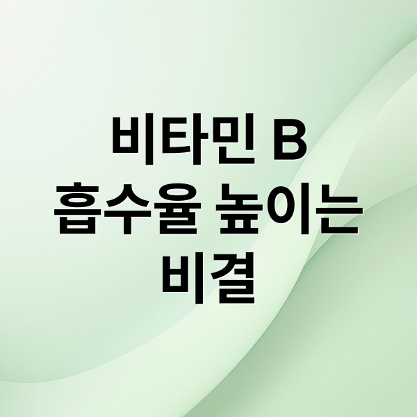 비타민 B
흡수율 높이는
비결 (비타민 B 생체 이용률)