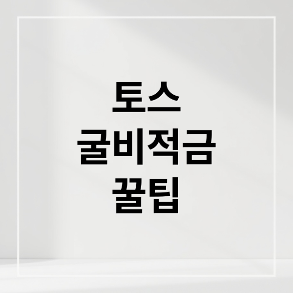 토스
굴비적금
꿀팁 (토스 굴비적금)