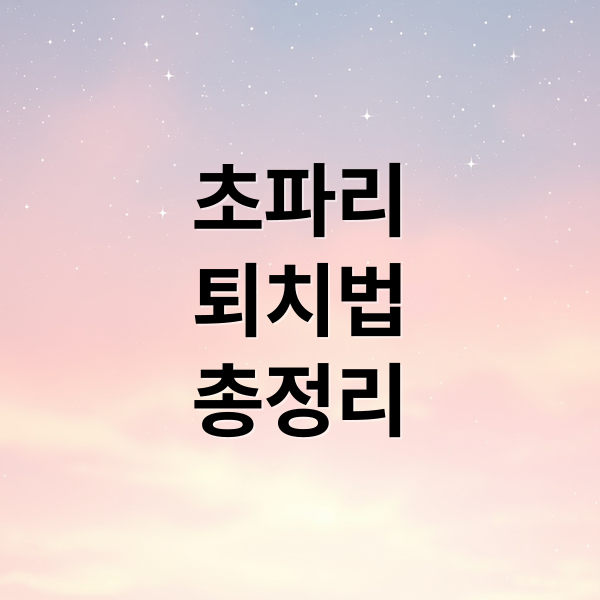 초파리
퇴치법
총정리 (초파리 트랩 박멸 퇴치 추천템)