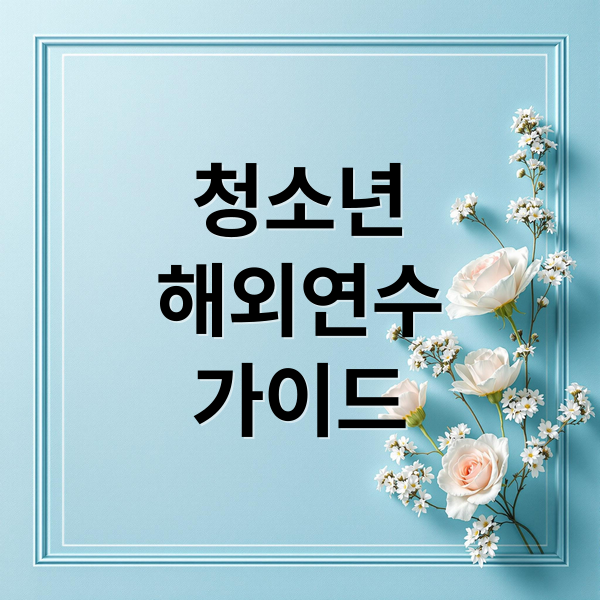 청소년
해외연수
가이드 (청소년 해외연수 지원)