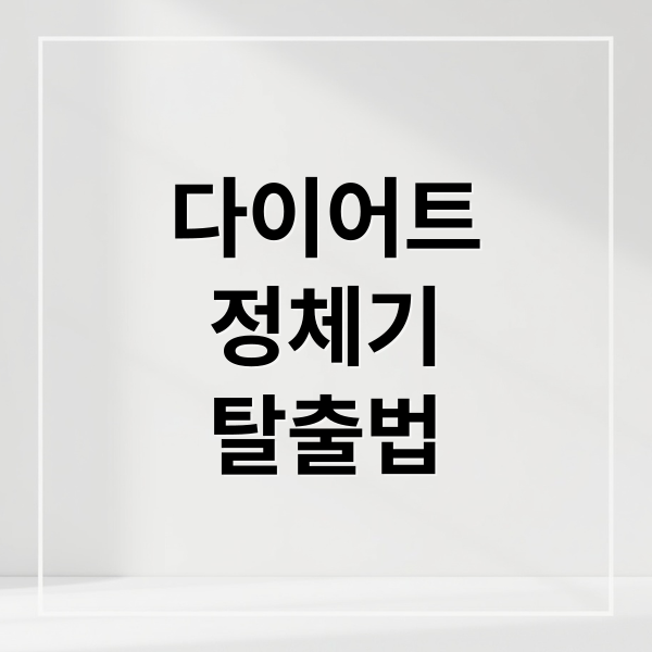 다이어트
정체기
탈출법 (다이어트 정체기 해결 방법)