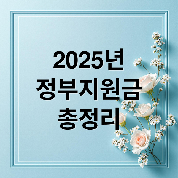 2025년
정부지원금
총정리 (정부 지원금)
