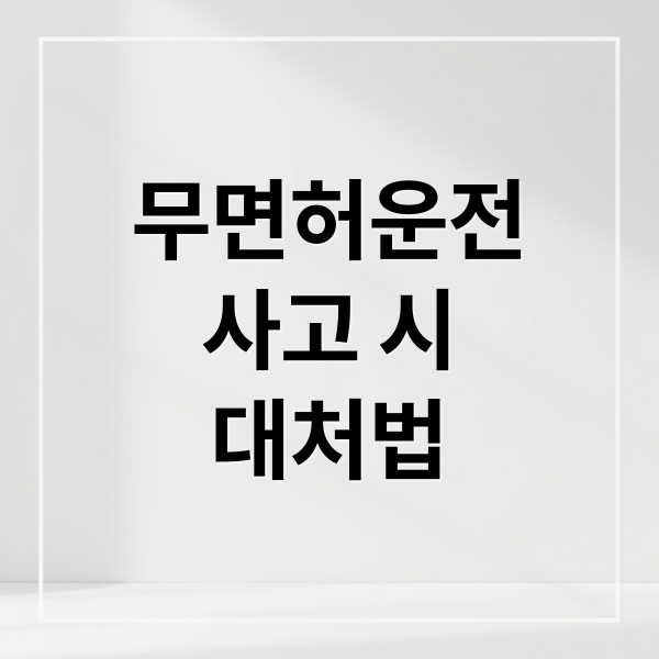 무면허운전
사고 시
대처법 (무면허 운전 사고 보험 처리)