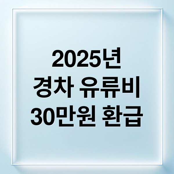 2025년
경차 유류비
30만원 환급 (주유비 30만원 경차 환급 신청법 총정리 (2025))