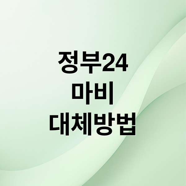 정부24
마비
대체방법 (국정자원화재 정부24 증명서 발급)