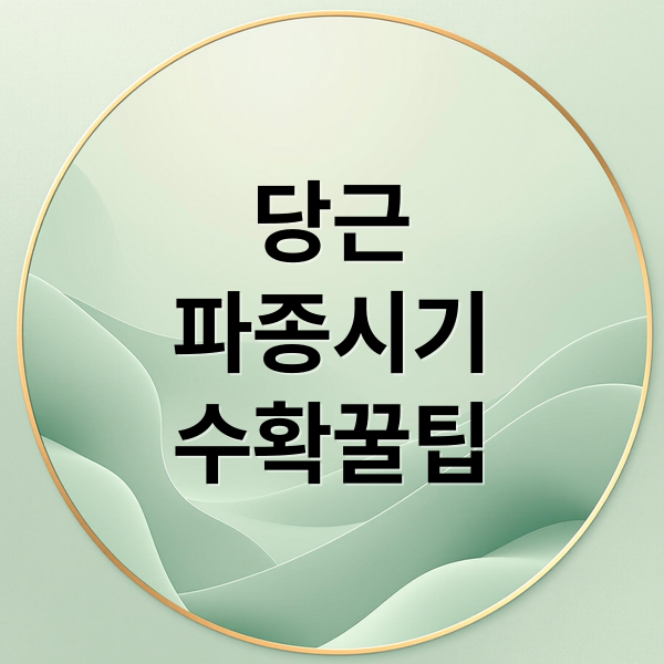 당근
파종시기
수확꿀팁 (당근 파종시기 재배방법)