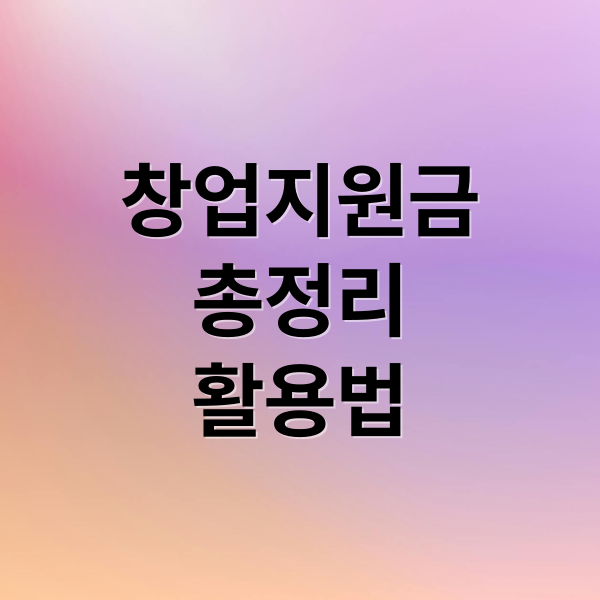 창업지원금
총정리
활용법 (개인 창업 지원금 100%)