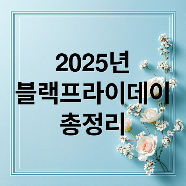 2025년
블랙프라이데이
총정리 (한국 블랙프라이데이 기간)