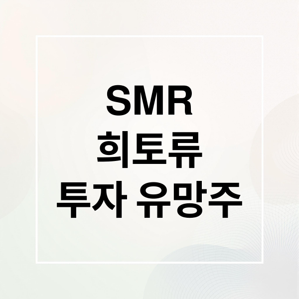 SMR
희토류
투자 유망주 (SMR 관련주)