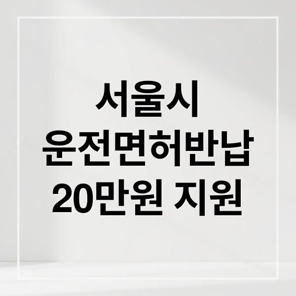 서울시
운전면허반납
20만원 지원 (2026 서울시 어르신 운전면허 반납  20만 원 신청방법 , 혜택 , 어르신 교통카드 사용처)