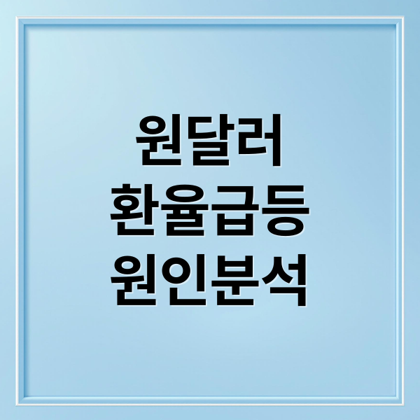 원달러
환율급등
원인분석 (원달러 환율 급등 이유)