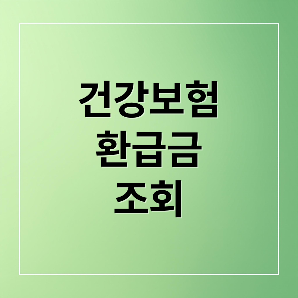 건강보험
환급금
조회 (건강보험 환급금 조회)