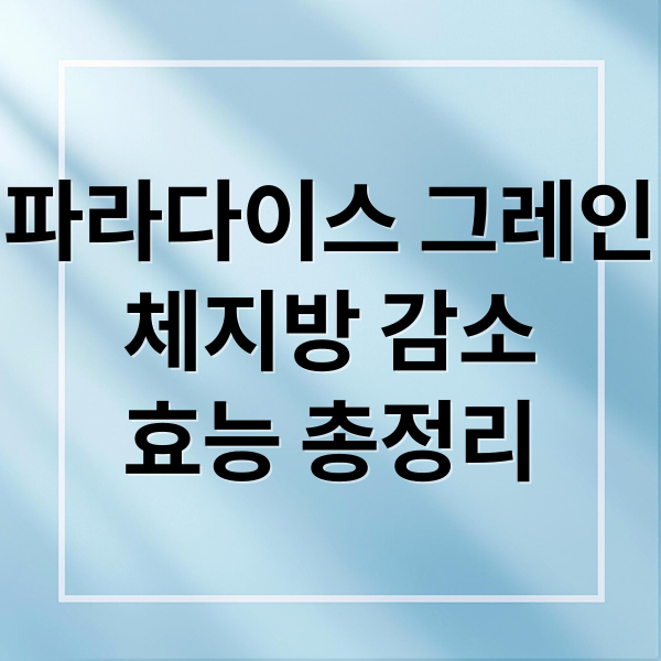 파라다이스 그레인
체지방 감소
효능 총정리 (파라다이스그레인)