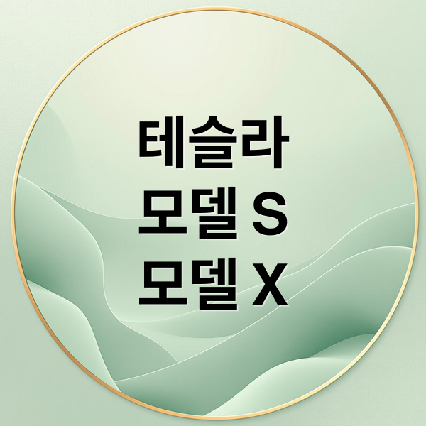 테슬라
모델 S
모델 X (테슬라 모델S 모델X 비교)