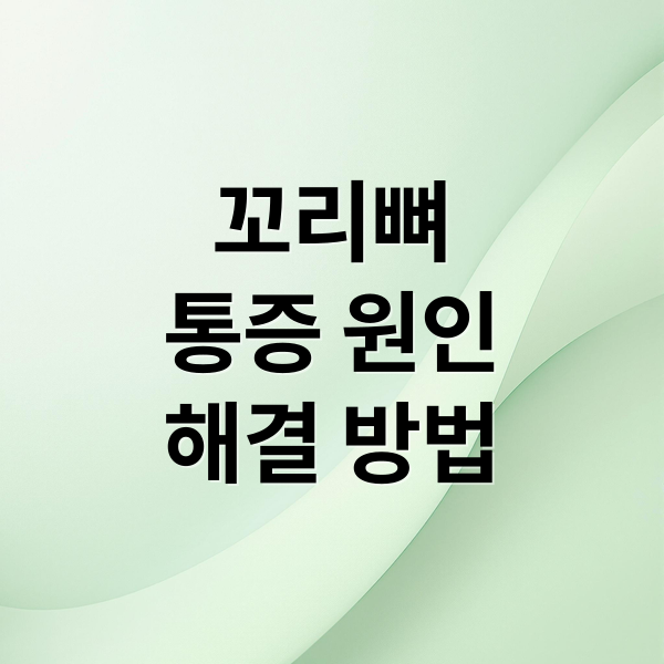 꼬리뼈
통증 원인
해결 방법 (꼬리뼈 통증)