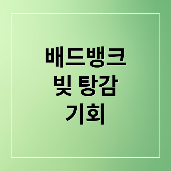 배드뱅크
빚 탕감
기회 (배드뱅크 신청)