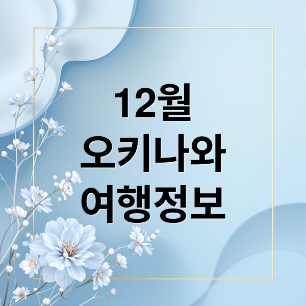 12월 오키나와 완벽 가이드 2 12월
오키나와
여행정보 (오키나와 12월 여행 후기)