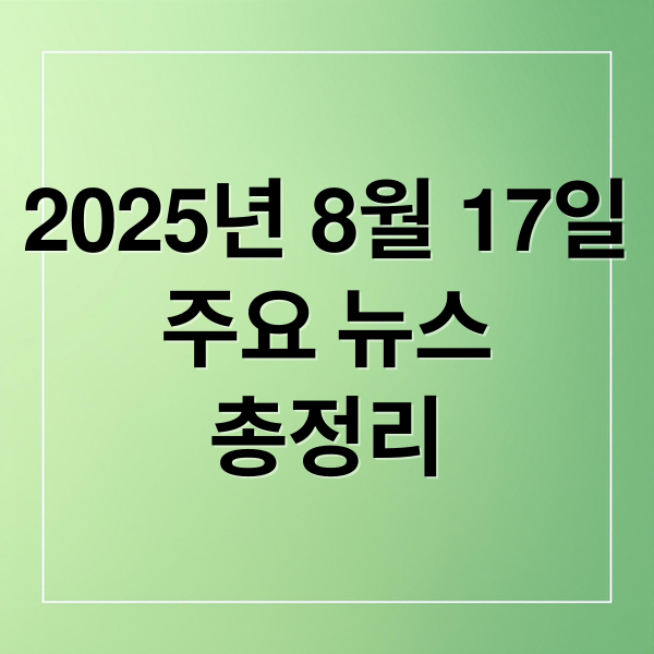 2025년 8월 17일
주요 뉴스
총정리 (2025년 8월 17일 헤드라인 정리)