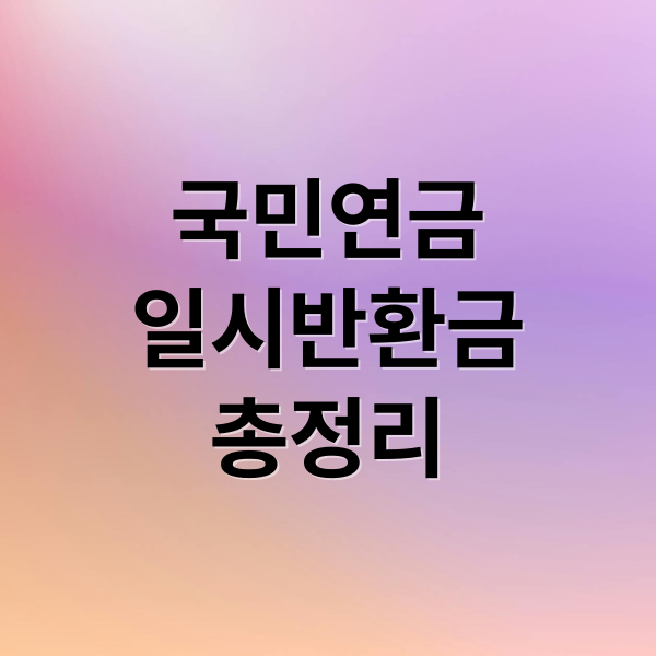 국민연금
일시반환금
총정리 (국민연금 일시반환금)