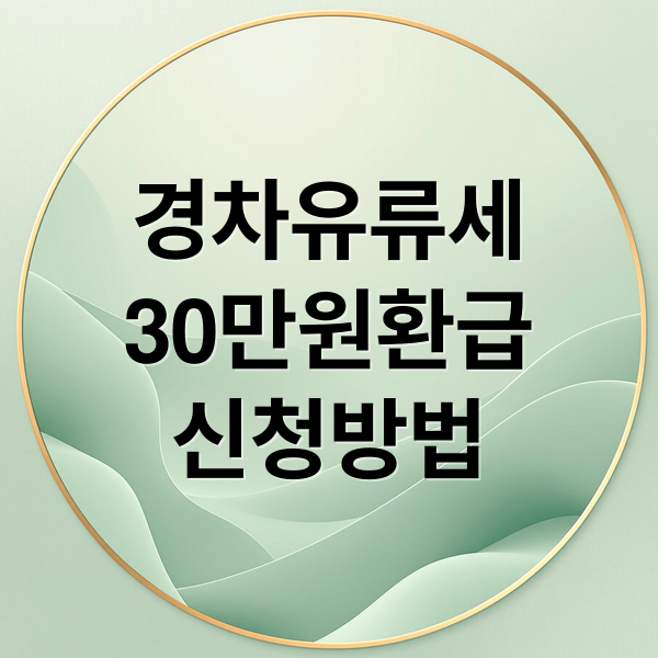 경차유류세
30만원환급
신청방법 (주유비 30만원 환급: 경차 유류세 환급 조건 및 신청 방법)