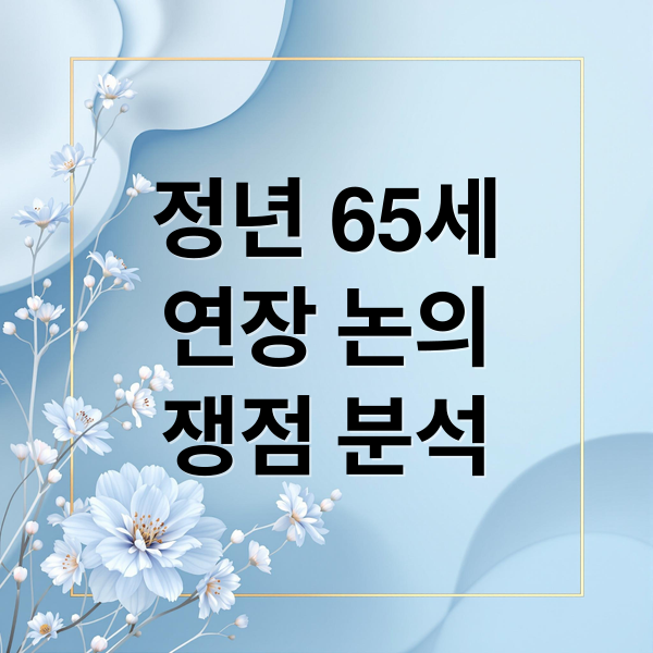 정년 65세
연장 논의
쟁점 분석 (정년연장 65세 시행시기 및 주요 쟁점)