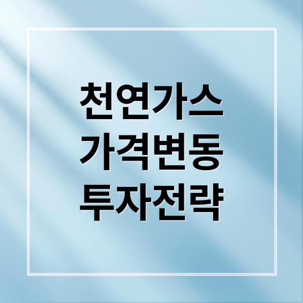 천연가스
가격변동
투자전략 (천연가스 선물 전망)