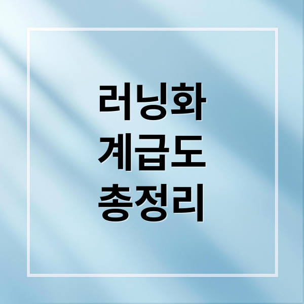 러닝화
계급도
총정리 (러닝화 계급도 가이드)