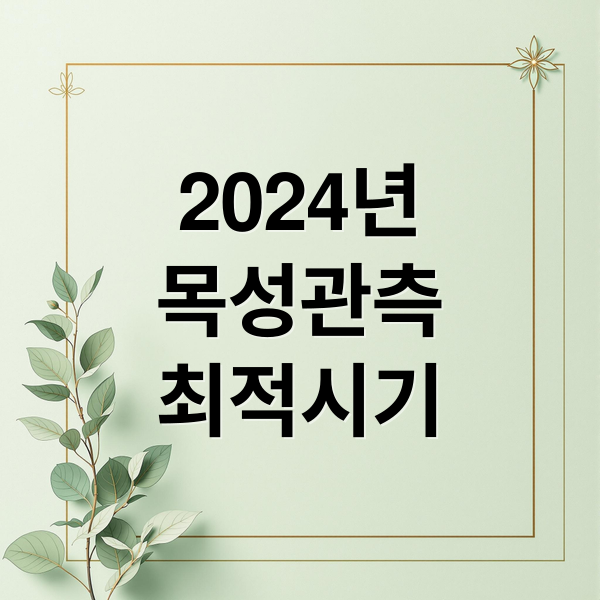 2024년
목성관측
최적시기 (목성 관측 시기)