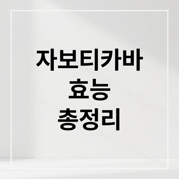 자보티카바
효능
총정리 (자보티카바 효능 부작용 30g)