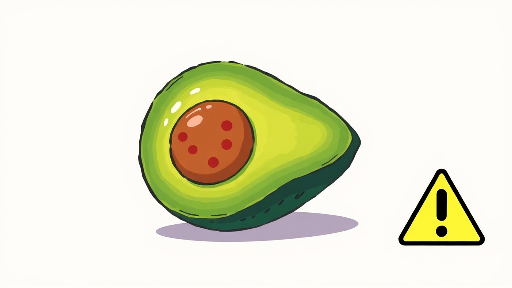 아보카도 섭취 시 주의사항 (illustration 스타일)