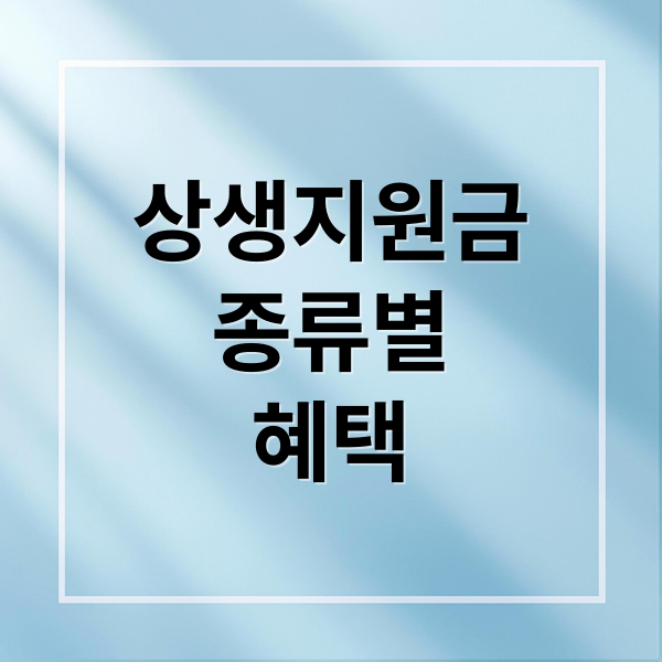 상생지원금
종류별
혜택 (상생지원금)