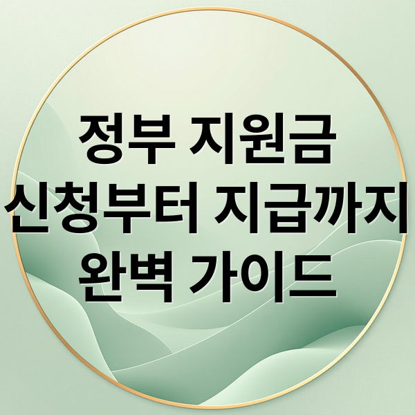 정부 지원금
신청부터 지급까지
완벽 가이드 (정부지원금 신청 확인)