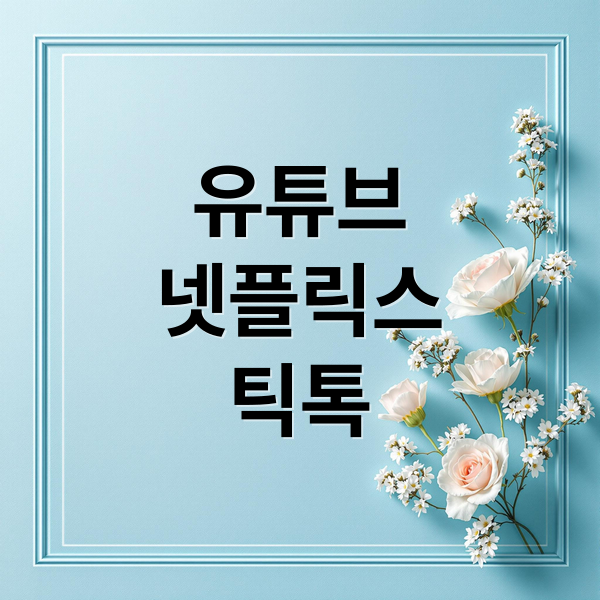 유튜브
넷플릭스
틱톡 (유튜브 광고 넷플릭스 틱톡 경쟁)