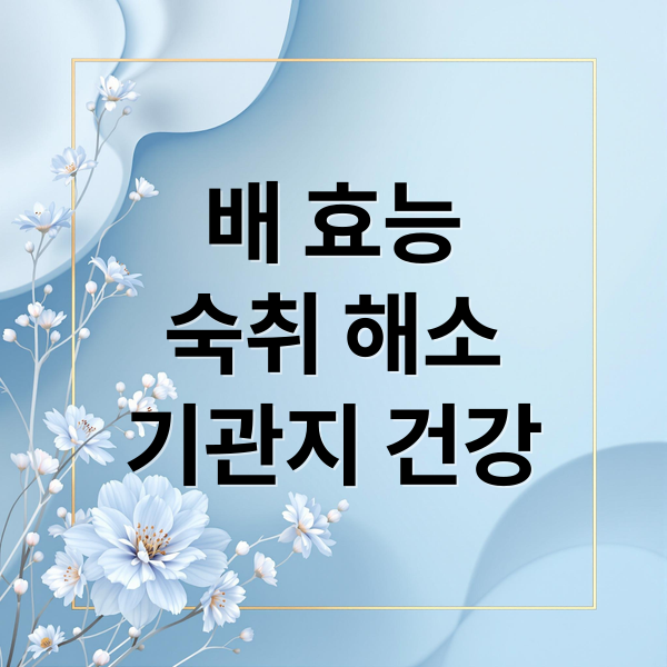 배 효능
숙취 해소
기관지 건강 (배 효능)