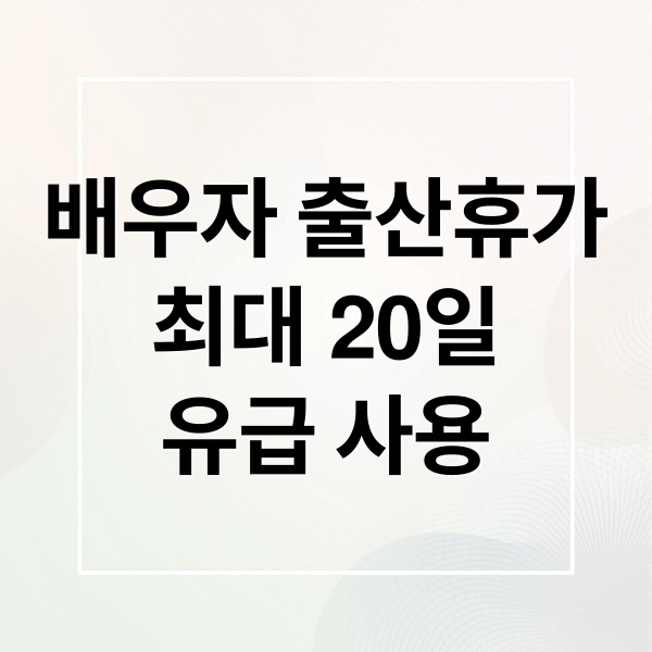 배우자 출산휴가
최대 20일
유급 사용 (배우자 출산휴가 급여 신청 실수 막는 체크 가이드 정리)