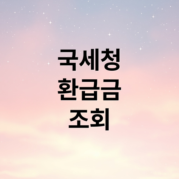 국세청
환급금
조회 (환급금 조회)