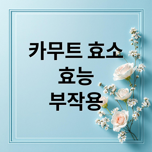 카무트 효소 효능 부작용