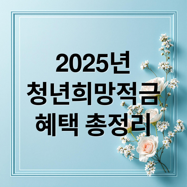 2025년
청년희망적금
혜택 총정리 (청년희망적금 신청 혜택)