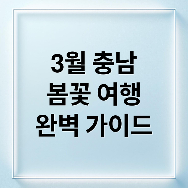 3월 충남
봄꽃 여행
완벽 가이드 (3월 충청남도 축제 여행지 추천)