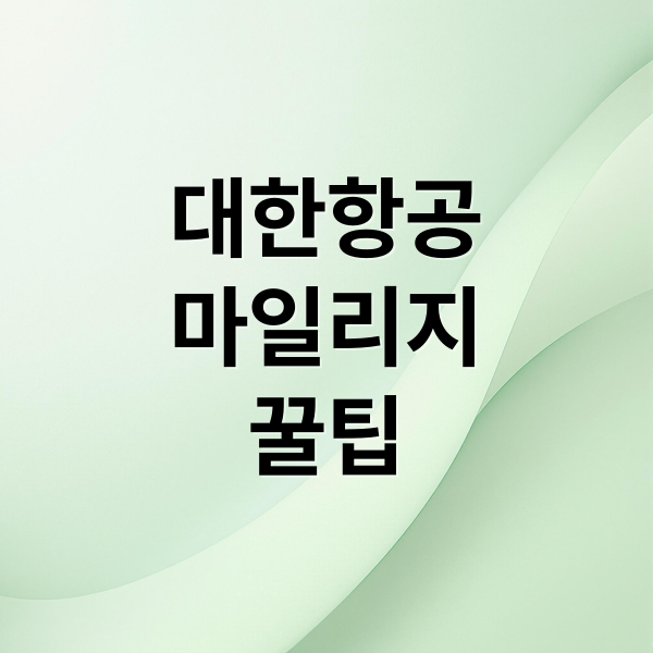 대한항공
마일리지
꿀팁 (대한항공 마일리지 사용방법)