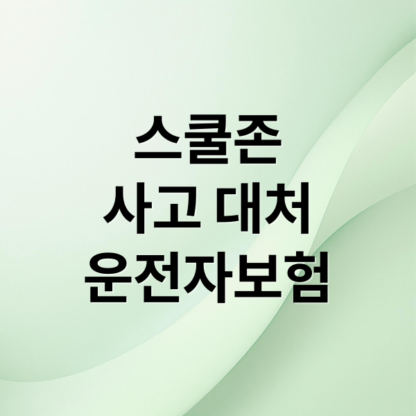 스쿨존
사고 대처
운전자보험 (어린이보호구역 신호위반 12대 중과실)