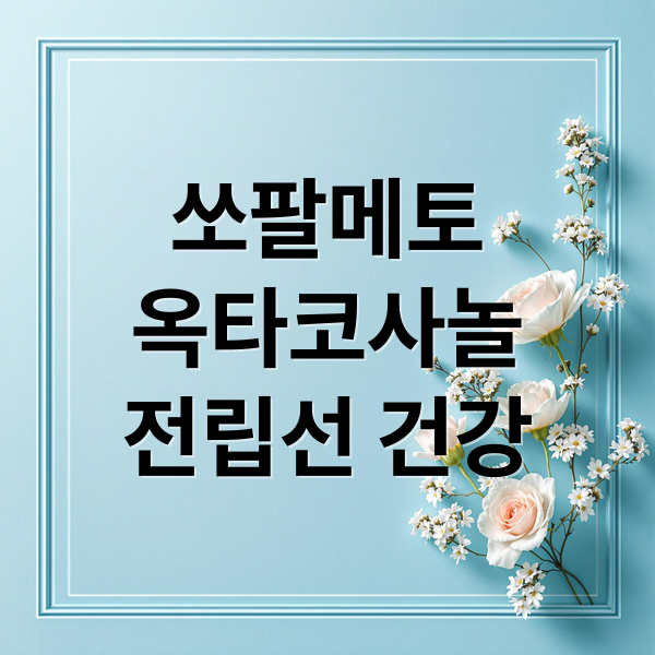 쏘팔메토 옥타코사놀 효능 부작용 전립선 건강 지구력 증진 정리(고려은단 쏘팔메토 옥타코사놀)