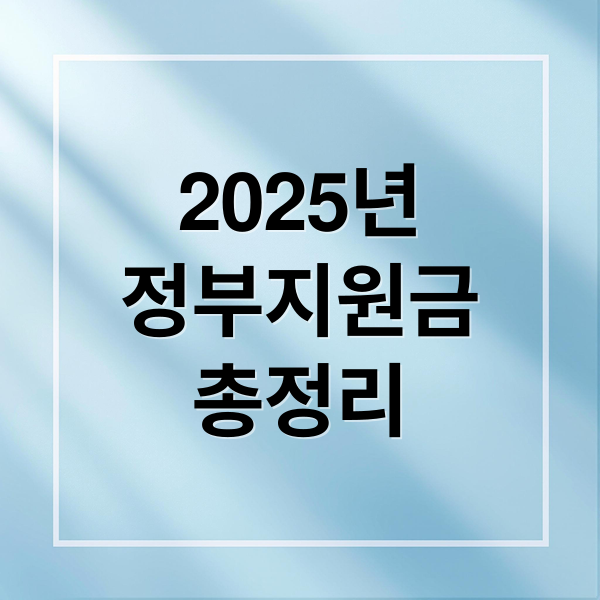 2025년
정부지원금
총정리 (최신 지원금 목록 혜택 찾기)