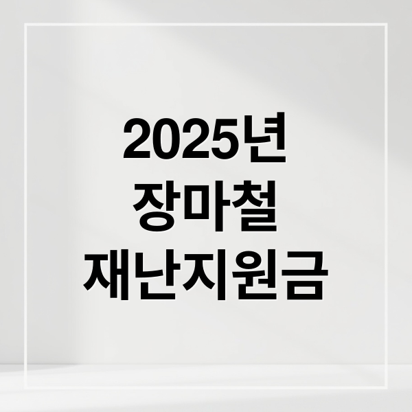 2025년
장마철
재난지원금 (2025년 장마철 재난지원금 신청 절차)